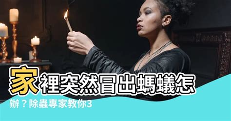 突然有很多螞蟻|家裡突然冒出很多小螞蟻怎麼辦？滅蟲專家教3招徹底。